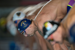 Assoluti 2026 Riccione