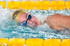 Assoluti 2026 Riccione