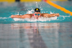 Assoluti 2026 Riccione