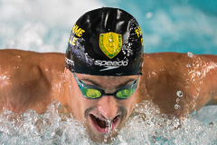 Assoluti 2026 Riccione