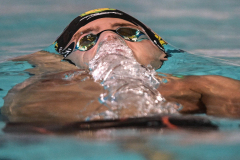 Assoluti 2026 Riccione