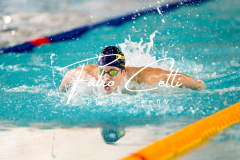 Assoluti Aprile 2026 – Day 4 Batterie – 100 Farfalla M