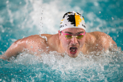 Assoluti 2026 Riccione