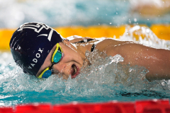 Assoluti 2026 Riccione