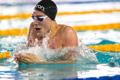 Assoluti 2026 Riccione