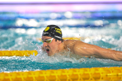 Assoluti 2026 Riccione