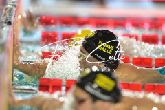 Assoluti 2026 Riccione