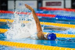 World Aquatics Championships - Doha 2024
02 - 18 Feb 2024