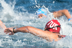 World Aquatics Open Water Swimming World Cup 2026 - Stop 3
Italy, Golfo Aranci
01 - 02 May 2026