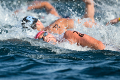 World Aquatics Open Water Swimming World Cup 2026 - Stop 3Italy, Golfo Aranci01 - 02 May 2026