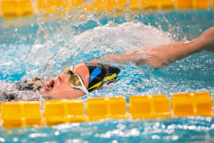 XXVIII Gran Premio Shark20-21 Dicembre 2025Piscina Scandone Napoli