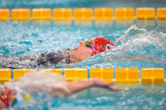 XXVIII Gran Premio Shark20-21 Dicembre 2025Piscina Scandone Napoli