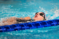 XXVIII Gran Premio Shark20-21 Dicembre 2025Piscina Scandone Napoli