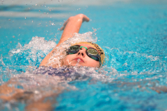 XXVIII Gran Premio Shark20-21 Dicembre 2025Piscina Scandone Napoli