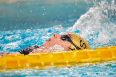 XXVIII Gran Premio Shark20-21 Dicembre 2025Piscina Scandone Napoli