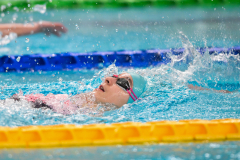 XXVIII Gran Premio Shark
20-21 Dicembre 2025
Piscina Scandone Napoli