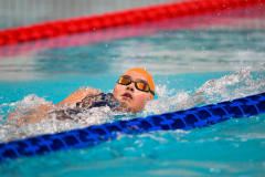 XXVIII Gran Premio Shark
20-21 Dicembre 2025
Piscina Scandone Napoli