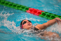 XXVIII Gran Premio Shark
20-21 Dicembre 2025
Piscina Scandone Napoli