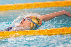 XXVIII Gran Premio Shark
20-21 Dicembre 2025
Piscina Scandone Napoli