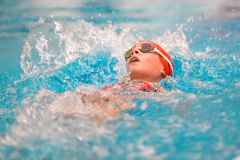 XXVIII Gran Premio Shark
20-21 Dicembre 2025
Piscina Scandone Napoli