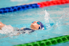 XXVIII Gran Premio Shark20-21 Dicembre 2025Piscina Scandone Napoli