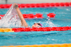 XXVIII Gran Premio Shark20-21 Dicembre 2025Piscina Scandone Napoli