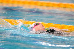 XXVIII Gran Premio Shark20-21 Dicembre 2025Piscina Scandone Napoli