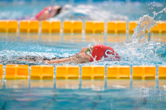 XXVIII Gran Premio Shark20-21 Dicembre 2025Piscina Scandone Napoli