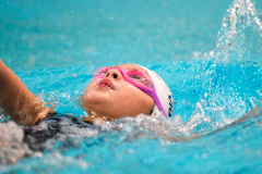 XXVIII Gran Premio Shark20-21 Dicembre 2025Piscina Scandone Napoli