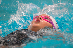 XXVIII Gran Premio Shark20-21 Dicembre 2025Piscina Scandone Napoli