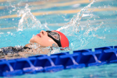 XXVIII Gran Premio Shark20-21 Dicembre 2025Piscina Scandone Napoli