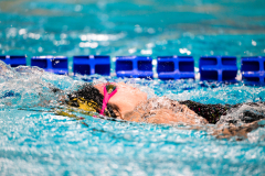 XXVIII Gran Premio Shark20-21 Dicembre 2025Piscina Scandone Napoli