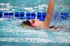 XXVIII Gran Premio Shark20-21 Dicembre 2025Piscina Scandone Napoli