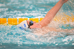 XXVIII Gran Premio Shark20-21 Dicembre 2025Piscina Scandone Napoli