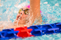 XXVIII Gran Premio Shark20-21 Dicembre 2025Piscina Scandone Napoli