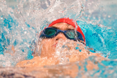 XXVIII Gran Premio Shark20-21 Dicembre 2025Piscina Scandone Napoli