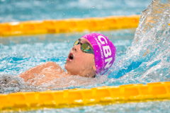 XXVIII Gran Premio Shark20-21 Dicembre 2025Piscina Scandone Napoli