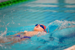 XXVIII Gran Premio Shark20-21 Dicembre 2025Piscina Scandone Napoli