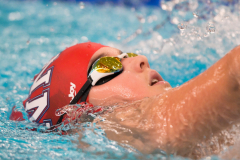 XXVIII Gran Premio Shark20-21 Dicembre 2025Piscina Scandone Napoli