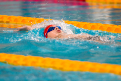 XXVIII Gran Premio Shark20-21 Dicembre 2025Piscina Scandone Napoli