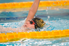 XXVIII Gran Premio Shark20-21 Dicembre 2025Piscina Scandone Napoli