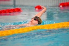 XXVIII Gran Premio Shark20-21 Dicembre 2025Piscina Scandone Napoli