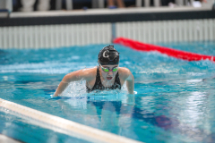 XXVIII Gran Premio Shark20-21 Dicembre 2025Piscina Scandone Napoli