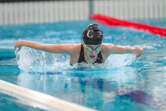 XXVIII Gran Premio Shark20-21 Dicembre 2025Piscina Scandone Napoli