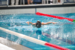 XXVIII Gran Premio Shark20-21 Dicembre 2025Piscina Scandone Napoli