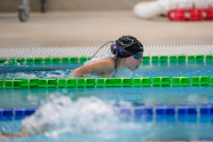 XXVIII Gran Premio Shark20-21 Dicembre 2025Piscina Scandone Napoli