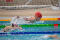 XXVIII Gran Premio Shark20-21 Dicembre 2025Piscina Scandone Napoli