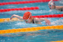 XXVIII Gran Premio Shark20-21 Dicembre 2025Piscina Scandone Napoli