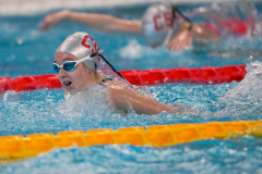 XXVIII Gran Premio Shark20-21 Dicembre 2025Piscina Scandone Napoli