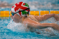 XXVIII Gran Premio Shark
20-21 Dicembre 2025
Piscina Scandone Napoli